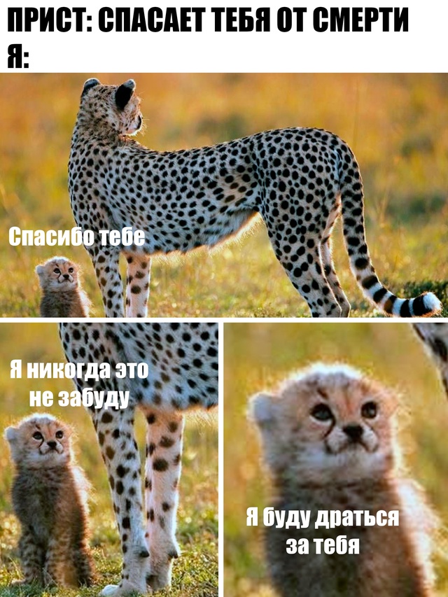 IpLGYCdpSkXjqjsdgVJVknRy0HZHCf89wYHeDBcMgk4jDkhYYjuueorYs6wJbGHFW3cHvCITWQSzM1fkQKBVc98Y (1).jpg