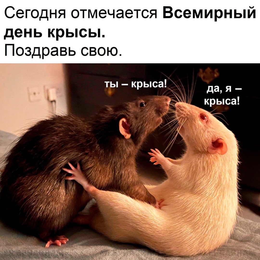 Iqrl2lo7b5LPurtryTVbmdDx4R0Torj2_rDuFoB5_vSo0rk-zyxlChlA6O-crfR3Ly4g4tSgzyZxmPG1Ndbyvj6T.jpg