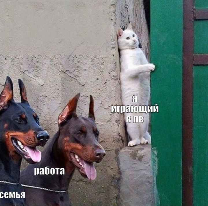 iWkmJbfk5vlglnXnRaxuR_--2W0CSMGnDm2DM5CInTejmdTuhEBAnF4Zspkq6chftUwesCZmGvNyn6AMBQEQ3wk-.jpg
