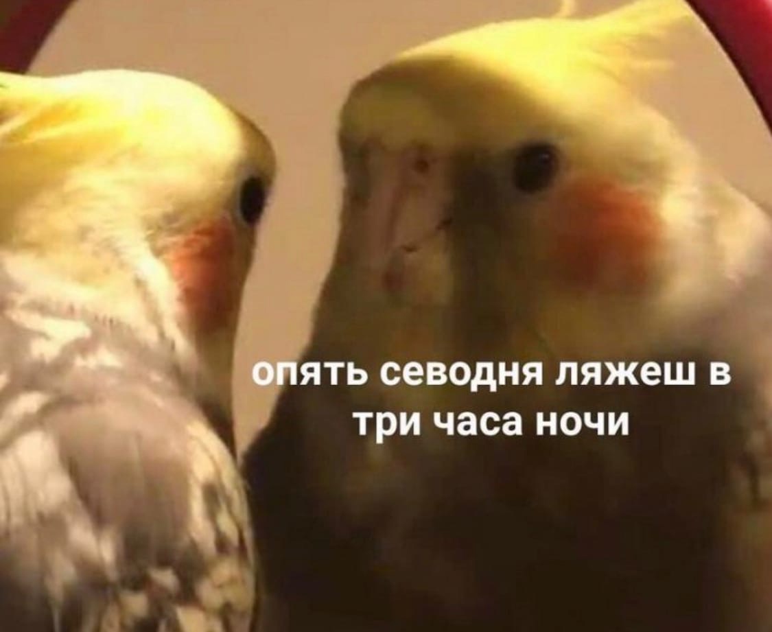 IxnyvkxD67k.jpg
