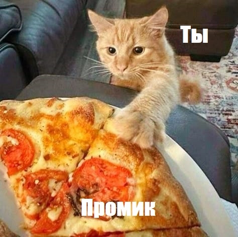 j9ZOwex7cGc3Bgrb6aOW9RXpJetUOOvnUFqSkG4bzEYrtTDvB0JXwe54Gs8RPIXr7ZKQtAtZvAzZyRL5cdGbt6fe.jpg