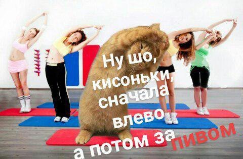 jHgcPI26kRJKTKKzLOuezfLPiyiv_zhiWagYqxH-s5yV8QUt5yxu0HCH37R-T5qL5vn5g_Hy.jpg