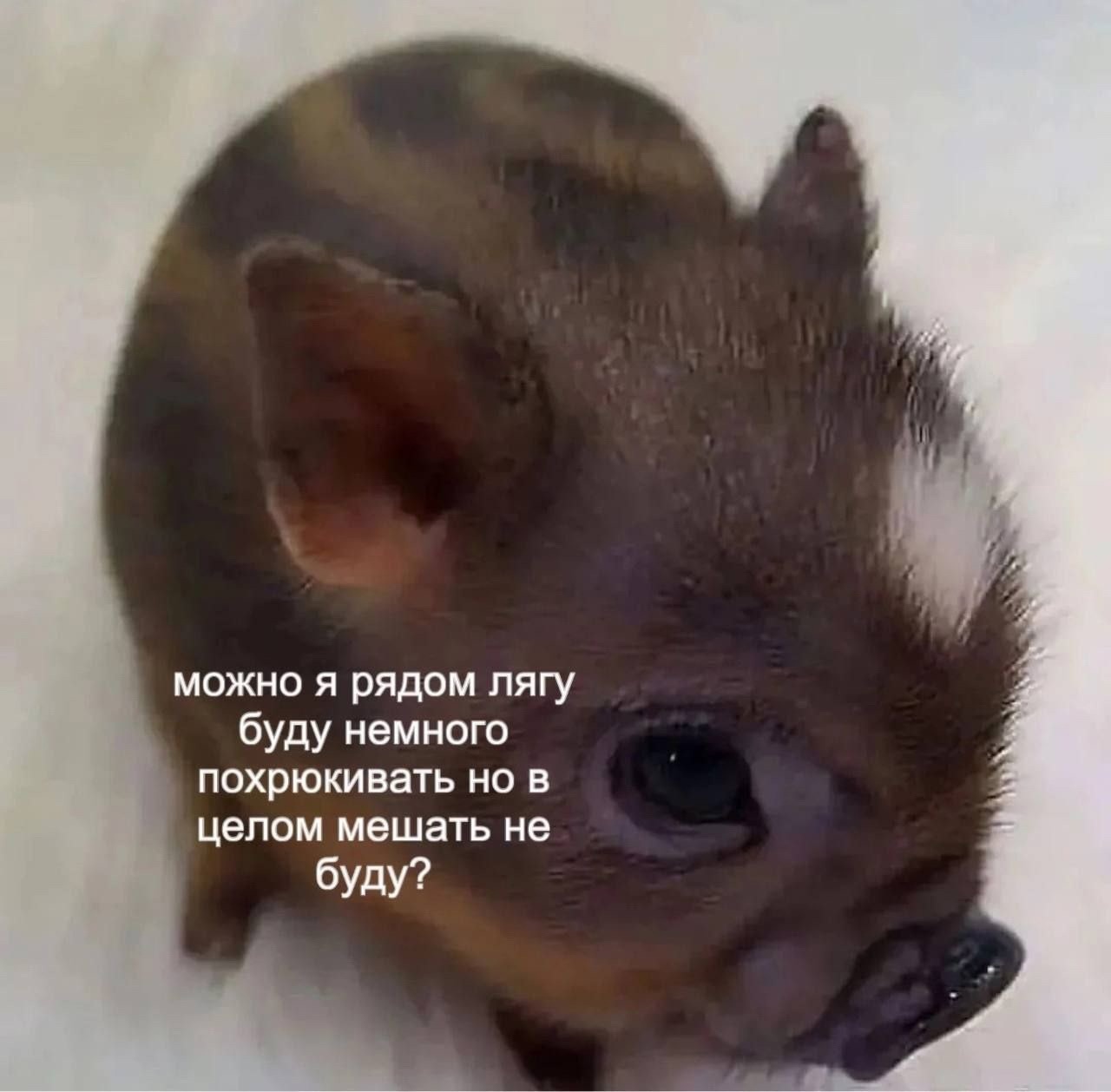 jSexiFTNmOc.jpg