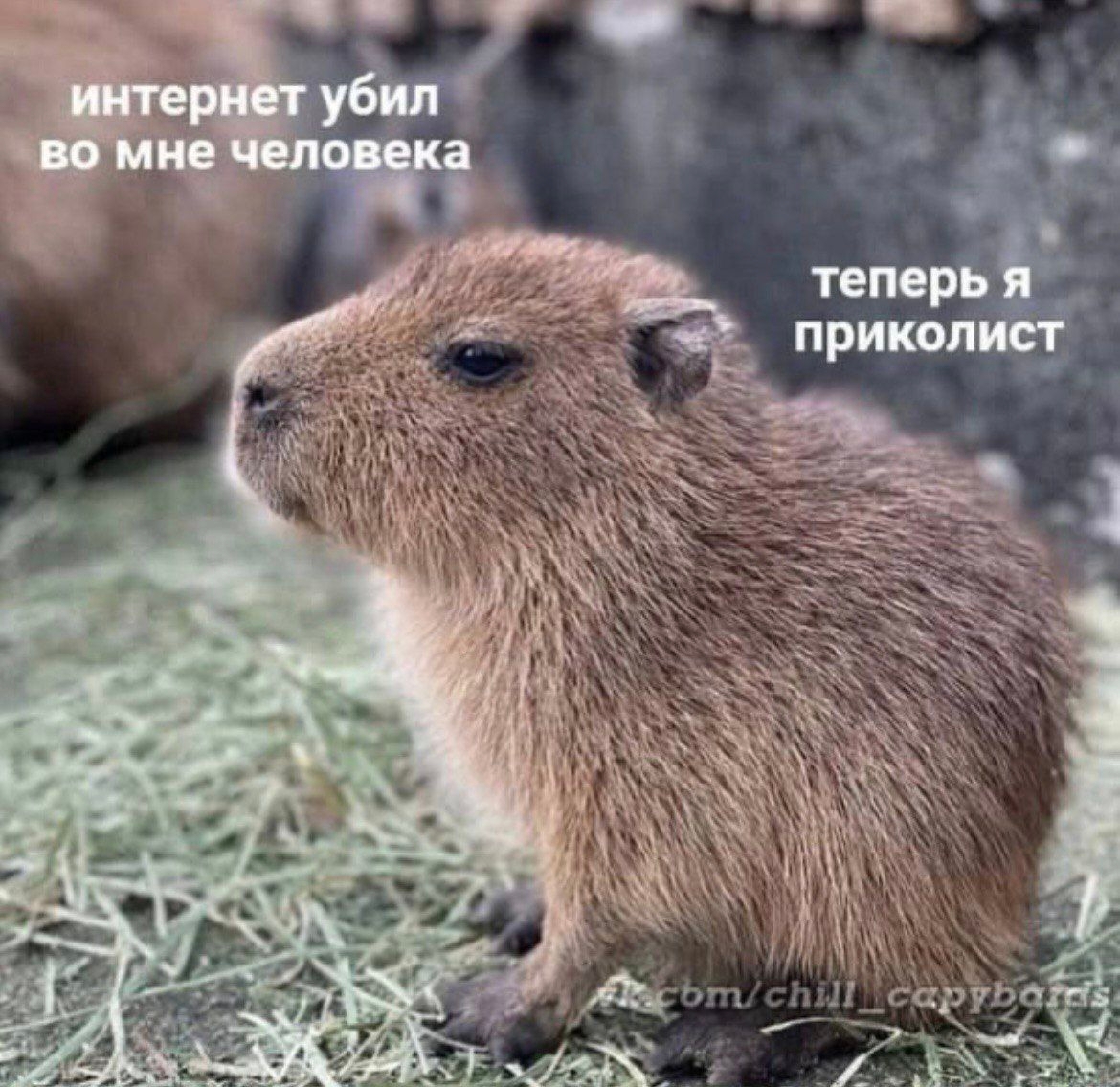 jtxWK3kpOmo.jpg