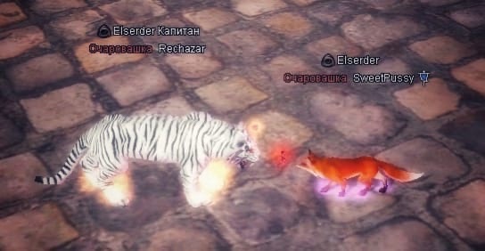jugz7K9vvRY.jpg