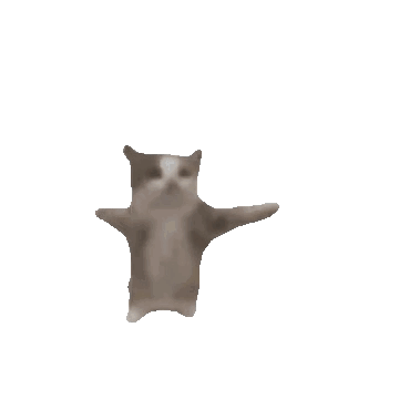 jumping-gatito.gif