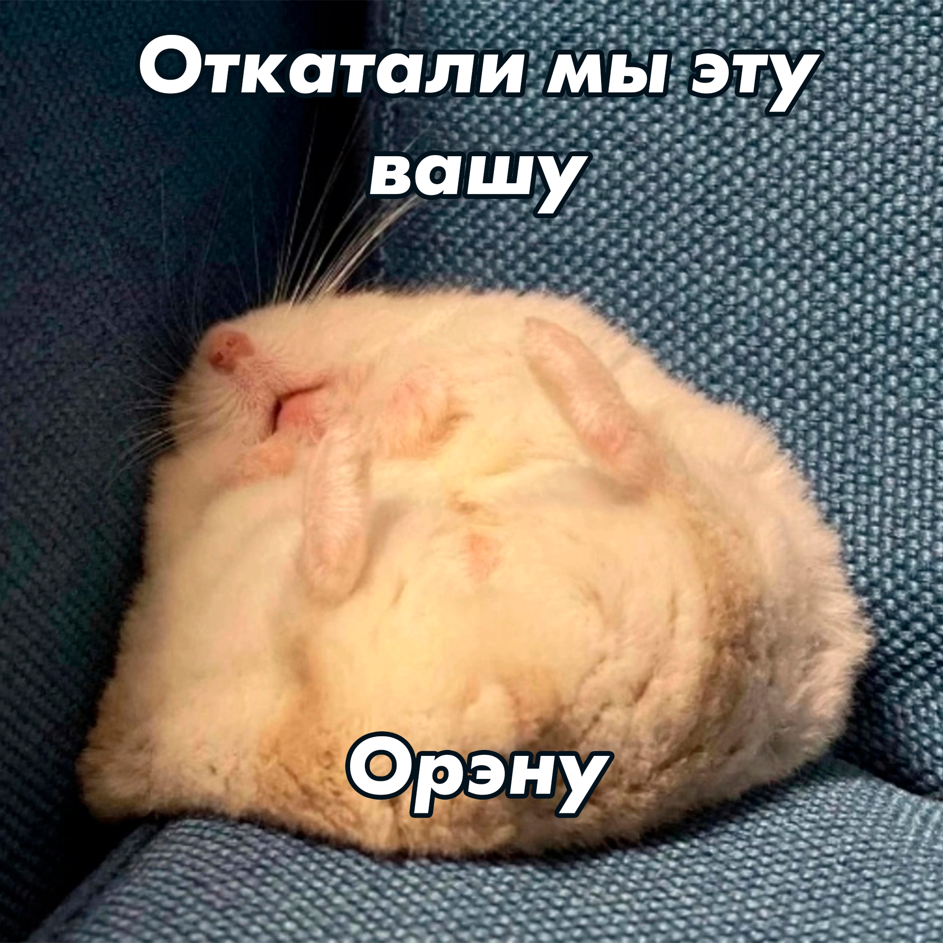 jWRub6Zkb8EFGuxP383ZRDcUmMdWAZYp6EvxCFTtMNr0qz7eEX4ViMARh_zCnyqClF1mM3AKtRM-PZmW4V_NM2xb.jpg