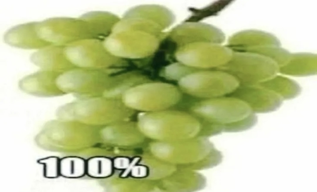 K_G_xkwfj9w.jpg