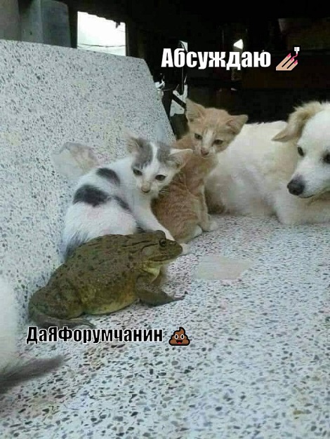 kekkek.jpg
