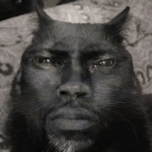 kevin-hart.gif