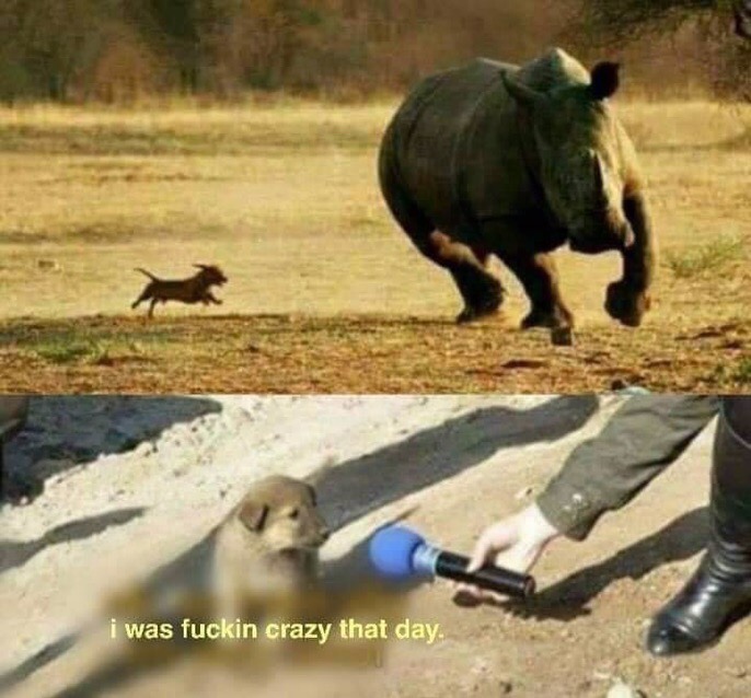 kFGNRuXaFsM.jpg