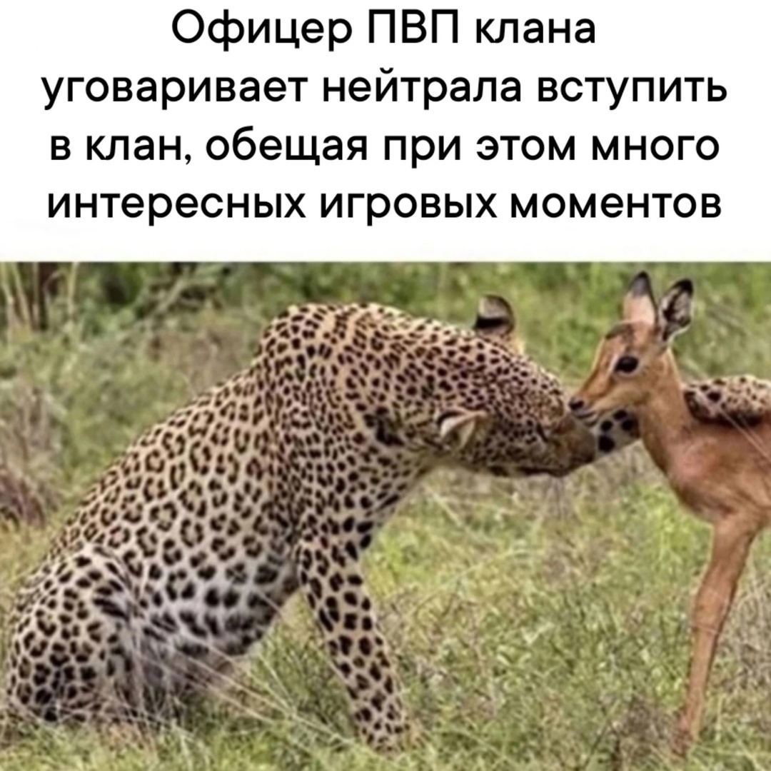 KnkW6eask3NjUOgtzCehEKuZ6jZa_emVbYoL_chkcLXkD03Kjv_-5n9olGTwzRvB_kFHq80FHqH-2fPDRrWP5-xS.jpg