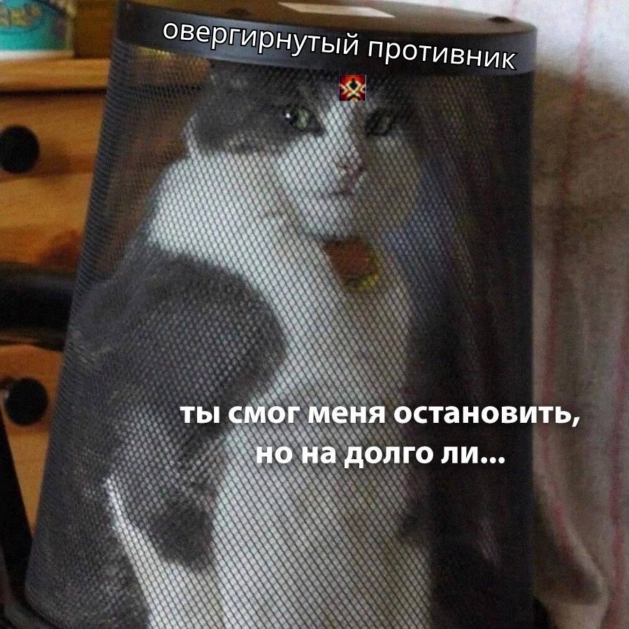 kTNKlTVRRGt7AMXe8M-vsaG5XT-ftnZlbcQMB747BgbRpVQwHiy6xd7qoabQszdZGXYJqzHKa5mxOv7UU0MMgiiT.jpg