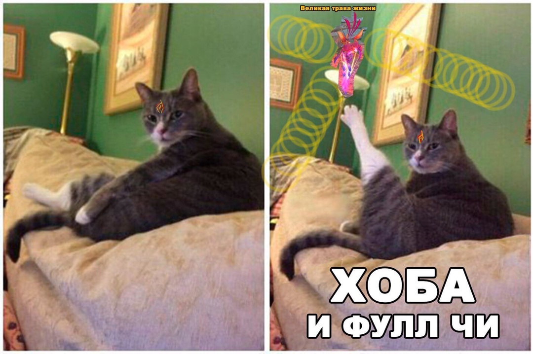 KVcUr5FX8qy5B7dk2vrAvtwCcbCBTf6jsj1gkKoeL0CZPjlEAj4HIcaiSCpDVY_a_2DtH1wieWZiCwCFWUk4Xpr7.jpg