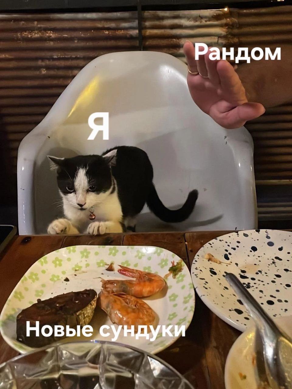 l4C81CwNuWU5s-Env0v41_pbsRUu6SsQGRzI8yM40EP5-o6f8WyQMSaJidrEgOV26-PAvQLkvpGfGuP7U7yJCWDd.jpg