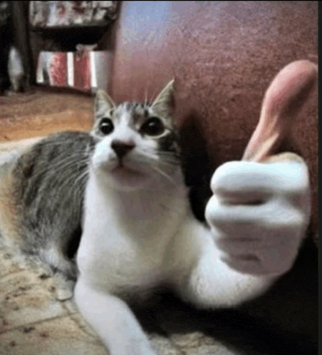 like.gif