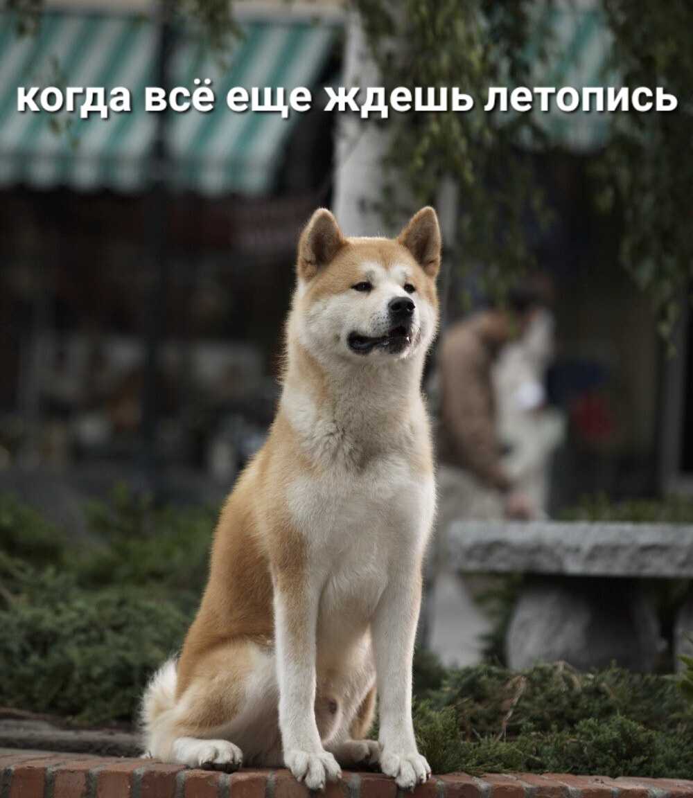 lRK7r1YLSUeai9J3YYo1G9uJi9ZRbGEm.jpg