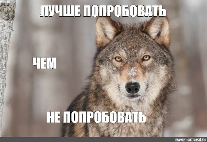 Luchshe-poprobovat-chem-ne-poprobovat.jpg