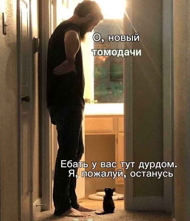Lumii_20240810_154856083.jpg