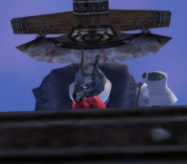 main.jpg