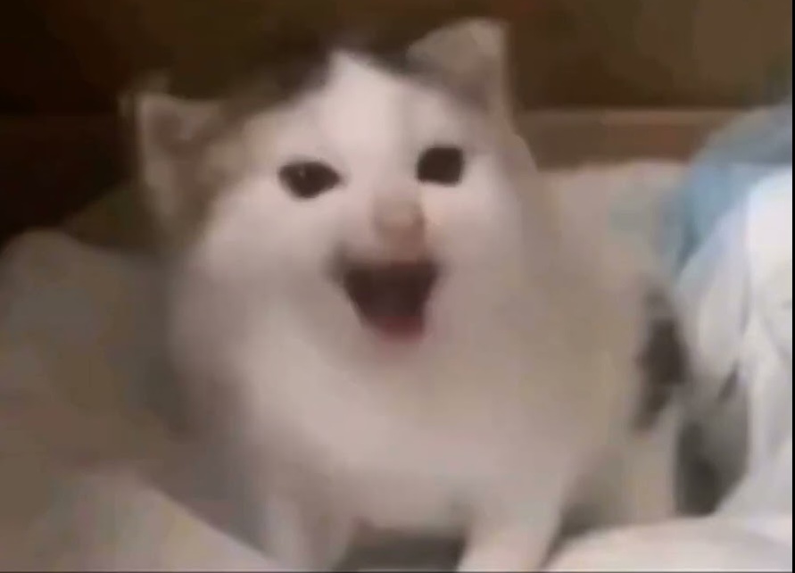 maxresdefault (5).jpg
