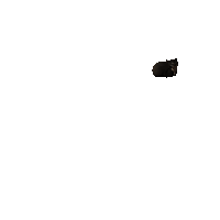 maxwell-spin.gif