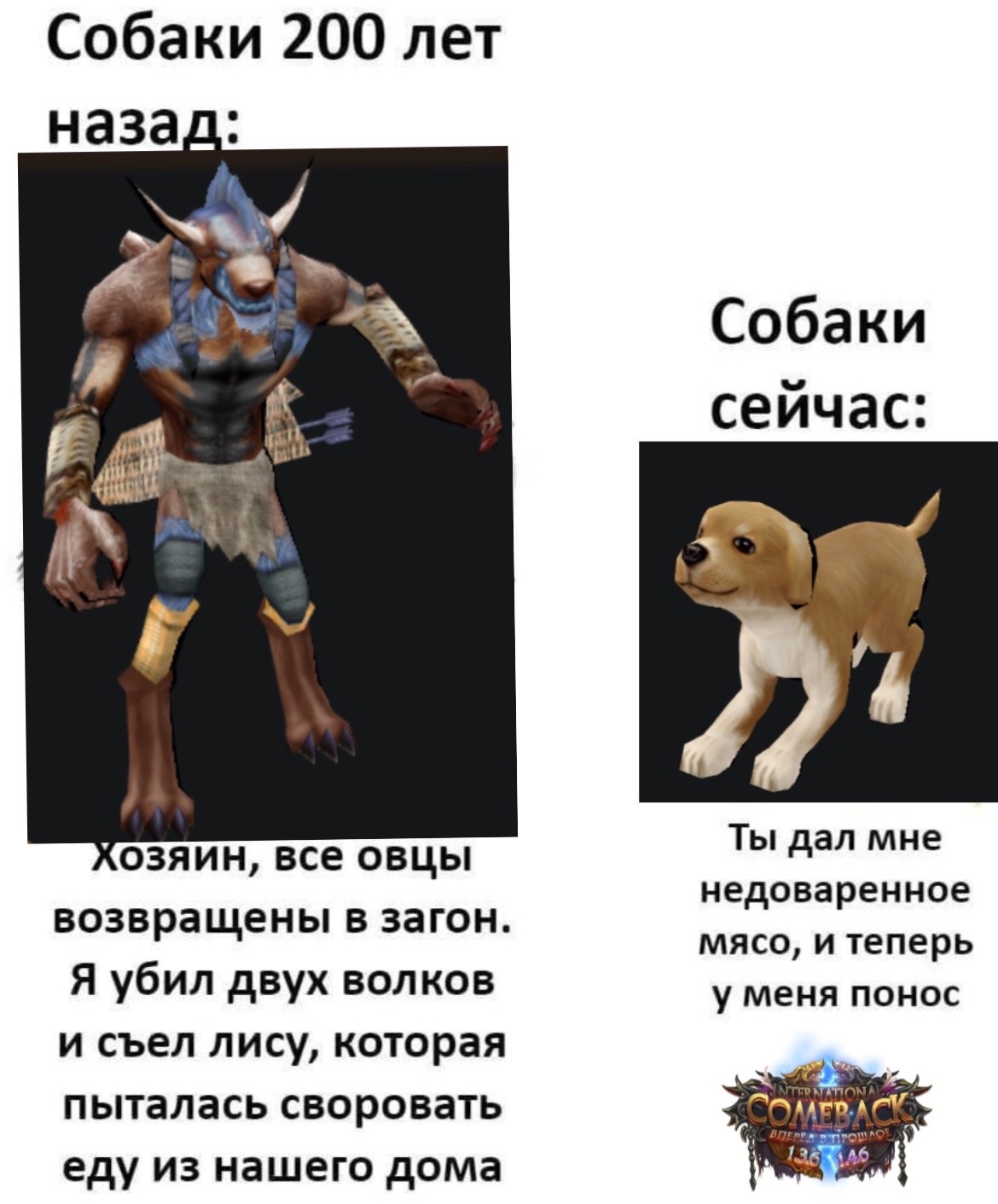 MEM1.jpg