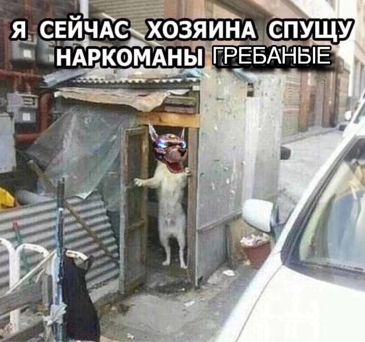 MEM2.jpg