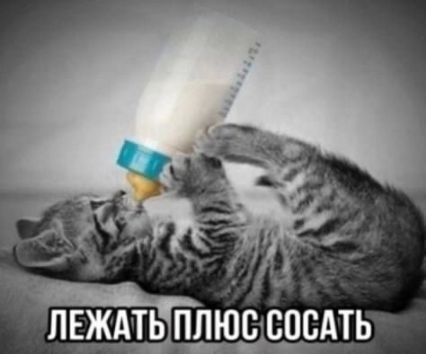 MsNlkKEcr41Qa_nRhSzmuGS12H2UB9pgj0Inz4CTeiQNJKI-S8LletbXDSwt_SQa7v0CsK5PficY2pcbTf8QatEH.jpg