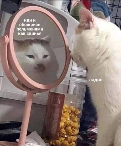 Muvek13CT1sDOTlv1SF0fyeDXJo1XuDEMrEcy6idJVyI-cNOL4wVwamczClBcTfYMIiN013wDA7GxChXImawtFmm.jpg