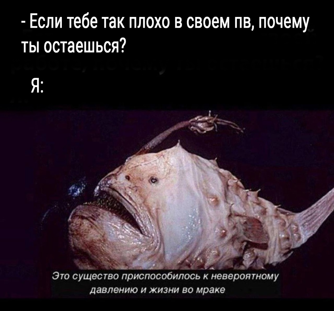 MxeOGXS4WIU1d91S5erTTn8R8VuFVxJbgfbQ2urVqh7whzJBGs4hta8VkDeJbspBeXidPkeJqmM5VZQsT1Ufq33z.jpg