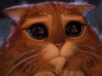 mXkfdQ5uNohD6i8TWdwrkzQfb7MYmUAvFaaP5k7bE2rDfc23ZQbo19QdwAYHuFdwHxQsP1CrReoydMaH1VEsZxHf4Ad7aS...gif