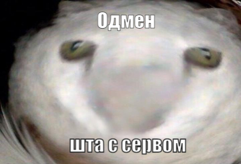 my-awesome-meme.jpeg