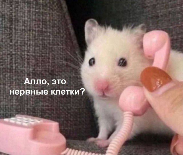 N8SFZc2AZOyO2IEbmEGtDszZOx32FBbOU94mmoUuk0hm4DuWB1yBXLJ3wRuM4Sy_aUVSvithbbDHYneDp5kRWZkf.jpg