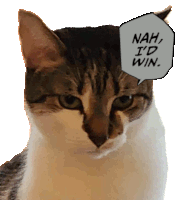 nah-id-win-cat.gif