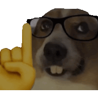 nerd.gif