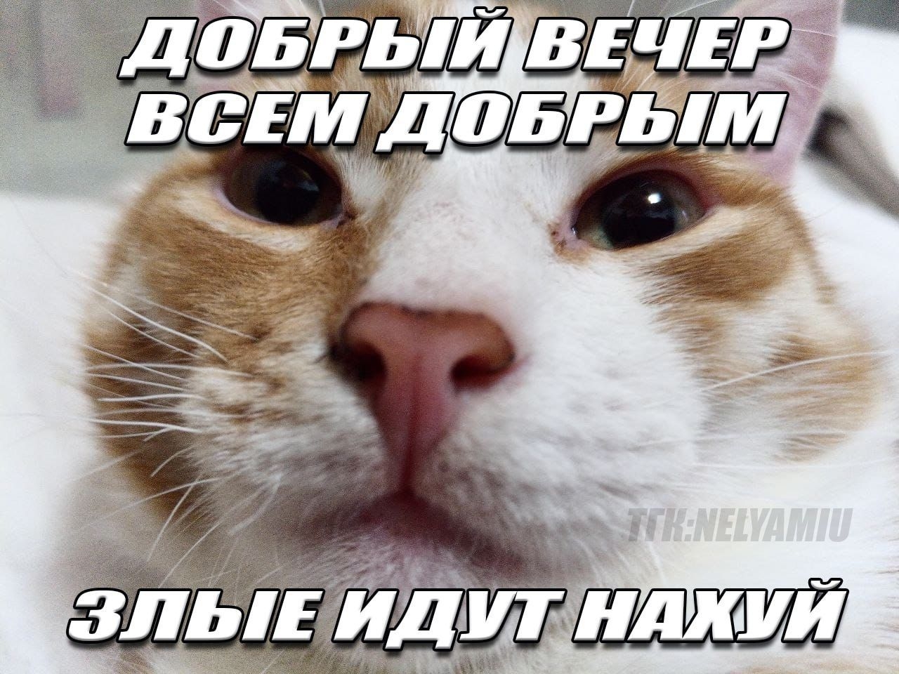 nEUM3tloGWo.jpg