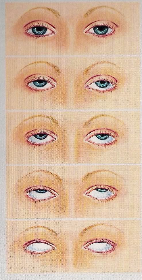 nGJP-rFoUVI.jpg