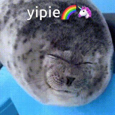 noiya-silly.gif
