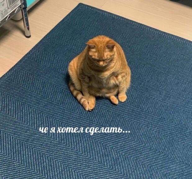 NSl4_lIpvyA.jpg