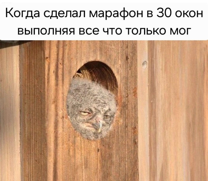 nUiRGZWA23x04t0fGC2onRirJtndXub8zIzgK1HyDW4euxvQD6nF2i_3TtI7lRjuWkPlpwC4wlTUI0yVudoUiRPe (1).jpg