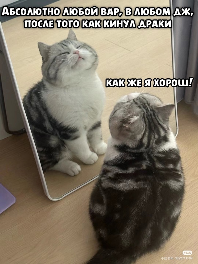 NxZ4TO7_U-xsF3h2wmkktY96J5OVV2PY0FqVSVZq8cTVEkT3VCjnSHqt0M-ZZOIkmEdKFlbCO62QfD8VdqYwjRm6.jpg