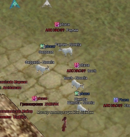 orgl.jpg