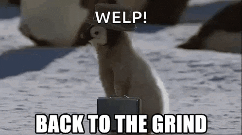 penguin-grind.gif