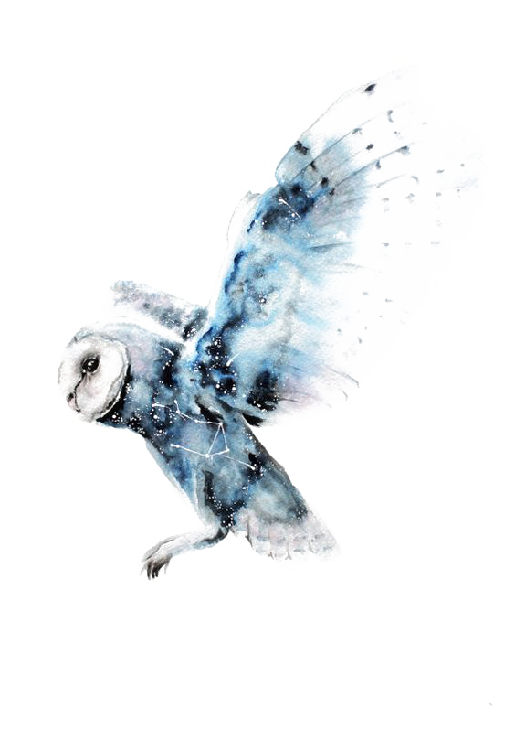 pngwing.com.png
