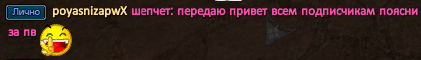 poyasnizapwX.png