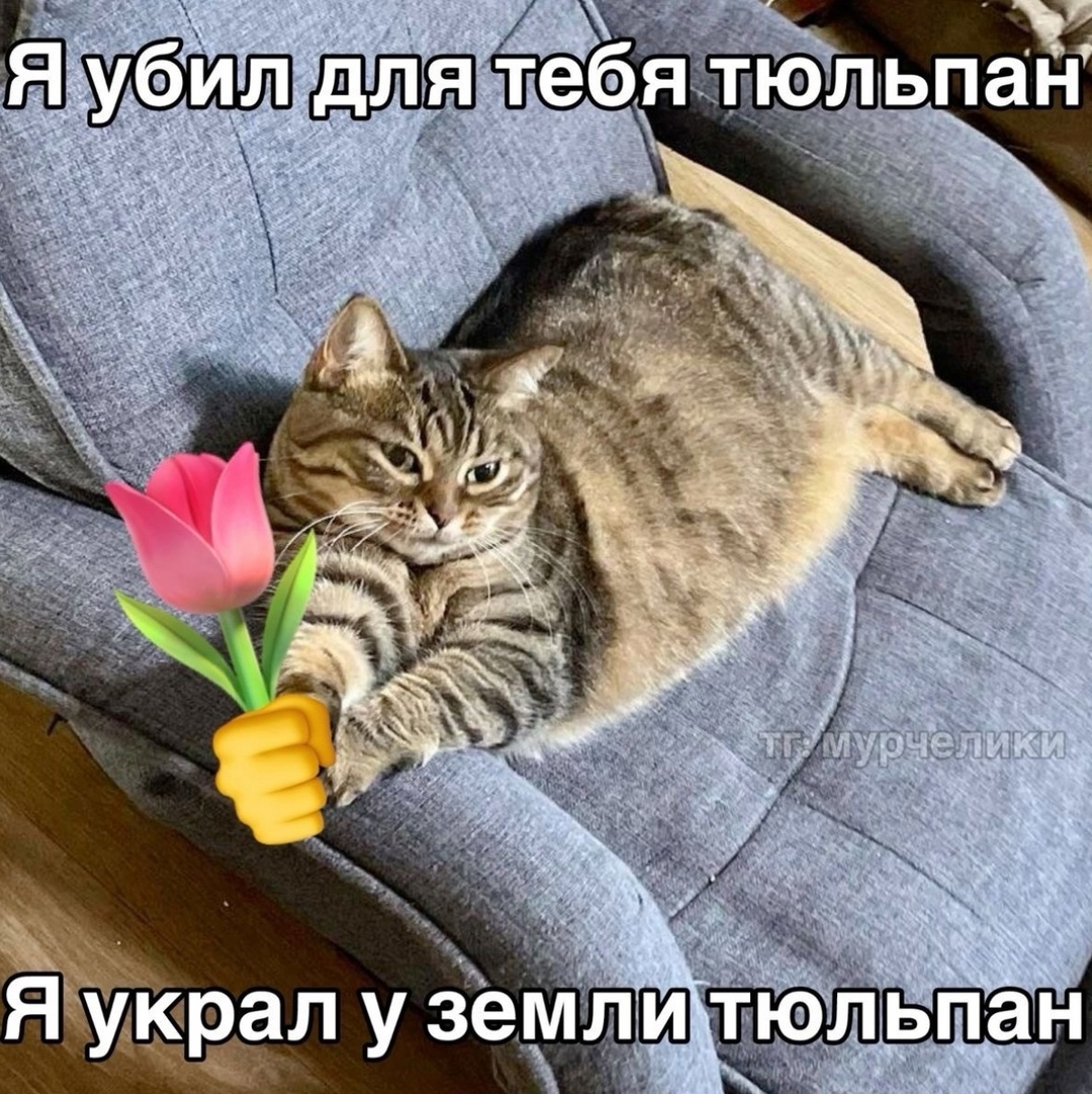 PPURb3KIjjqavOSvrT1EI0irPU1mFgNg9-YZ1-NakNAUc1UPpWd1dO0p84C4u4-jky9kyscU2iSrh4SUnXi1GRt_.jpg
