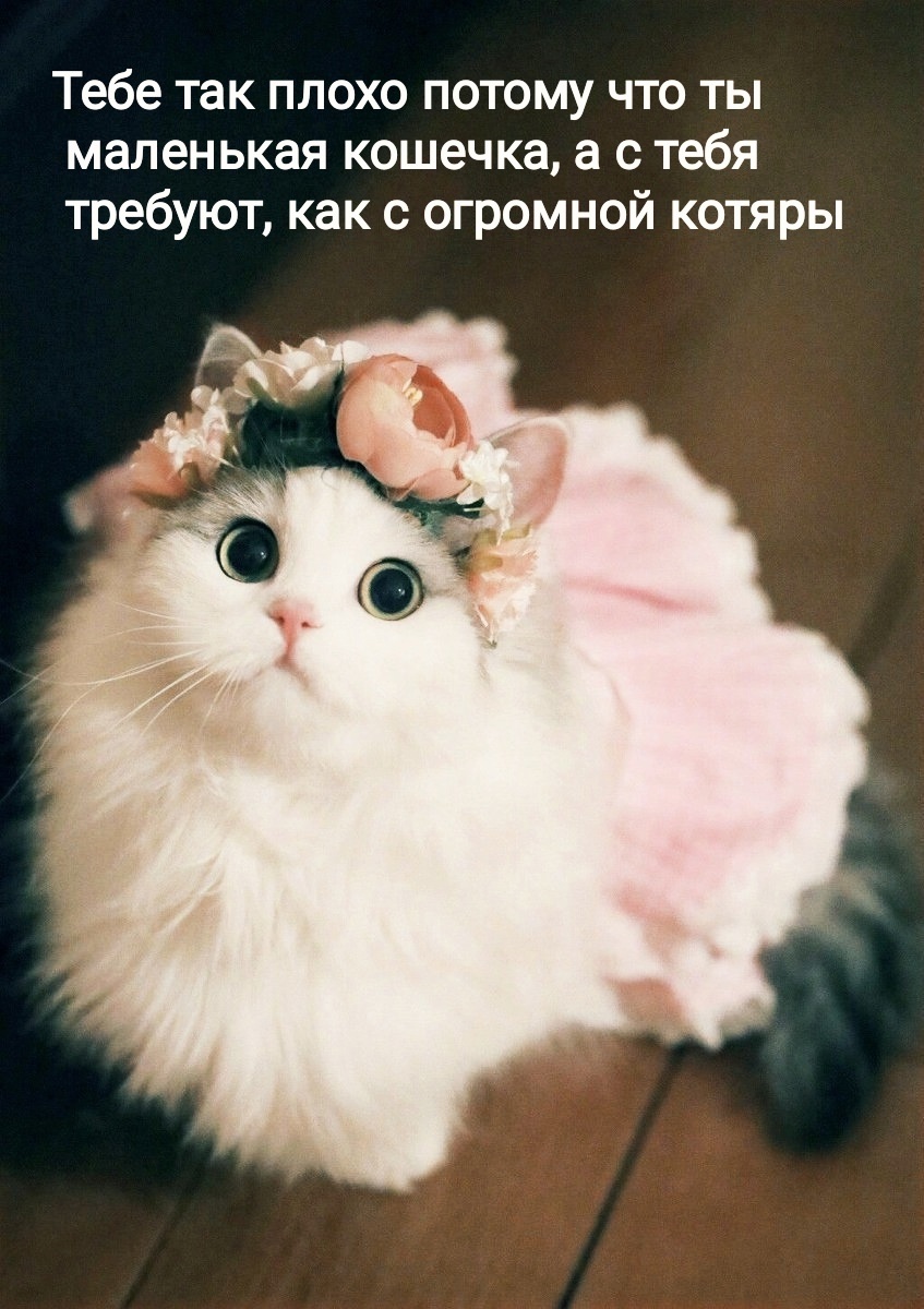 q5i0PdNki6s.jpg