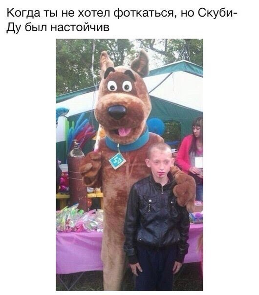 q9nTRYJihVM.jpg