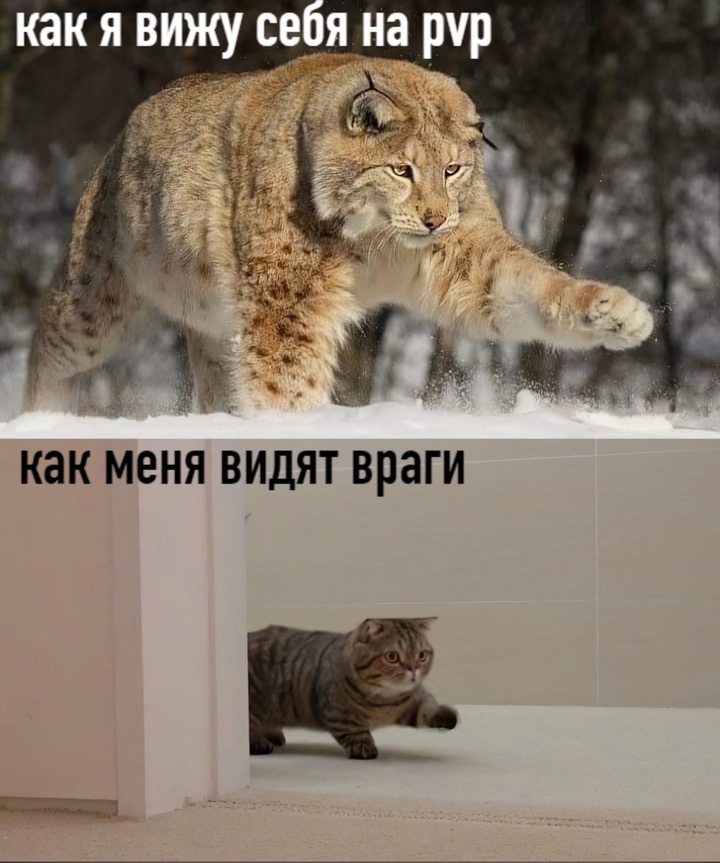 QdyHazBfcpsJ7uM3TKOkBGoBq3lJlSYZtNbFpEHyY2XYwUPW-DA6viYgyteG-SXXYR8Ozf--sbFEKubK1A_BuFGZ.jpg